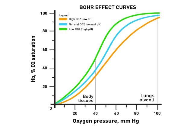 BOHR-OV EFEKAT
